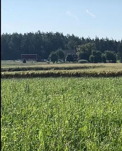 Appartement Sky Ranch 1 Br